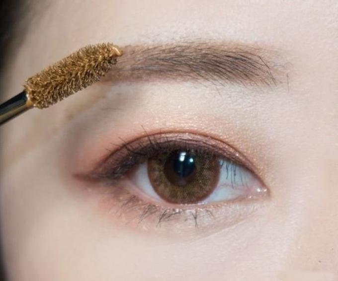 Los productos de maquillaje de las cejas de la moda perfeccionan las frentes para el tipo mate duradero