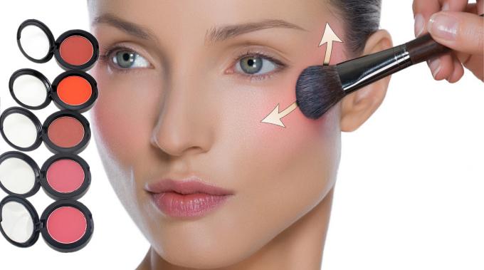 El solo maquillaje de la cara de la etiqueta privada se ruboriza los cosméticos justos de la moda del acuerdo de la paleta