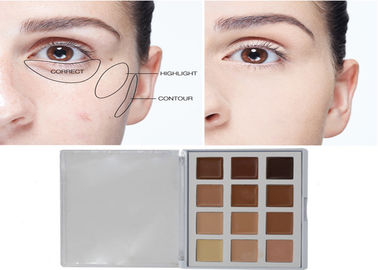 Paleta del lápiz corrector de los cosméticos del maquillaje del producto de belleza con 12 Niza colores